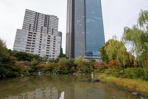 檜町公園 檜町公園,公園,赤坂の写真素材