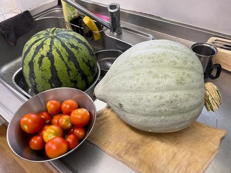 採れたての野菜 採れたての野菜 カボチャ,トマト,スイカの写真素材