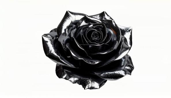 黒い薔薇 金属光沢(背景透過) 黒い薔薇 金属光沢(背景透過)の写真