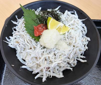 しらす丼 しらす丼,海鮮丼,海鮮の写真素材