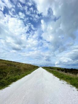 宗谷丘陵・白い道01 宗谷,丘陵,北海道の写真素材