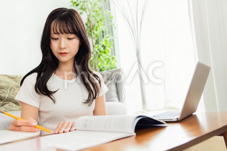 資格を取るために勉強をする若い女性 女性,ライフスタイル,勉強の写真素材