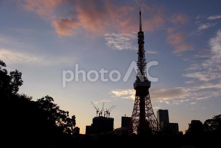 東京タワー　夕景 夕焼け,夕方,東京タワーの写真素材