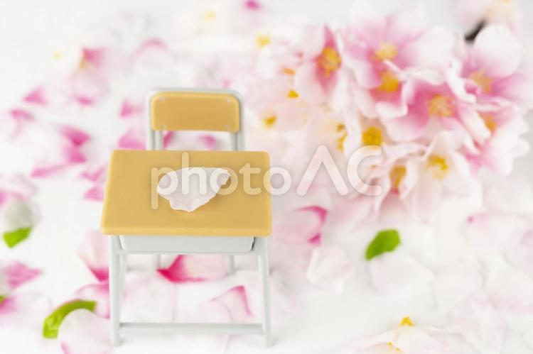 オモチャの勉強机と桜の花。入学イメージ 春,桜,ミニチュアの写真素材