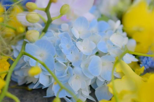 花手水 花手水の写真