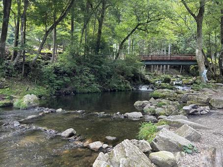 釣り堀 神越渓谷 釣り堀 神越渓谷 神越渓谷,ニジマス,釣りの写真素材