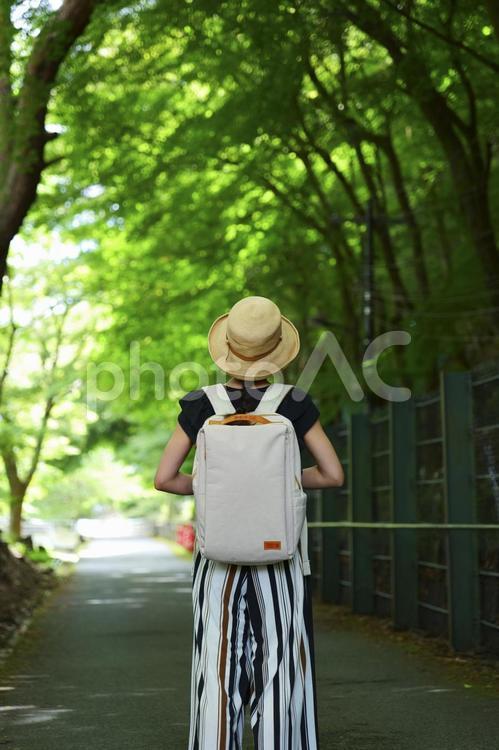 森林と麦わら帽子の女性 人物,ハイキング,女性の写真素材