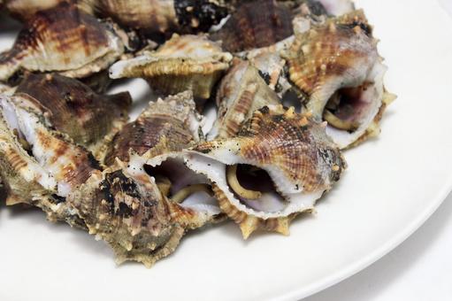 ぼら貝ぼ 貝,海産物,ぼら貝の写真素材