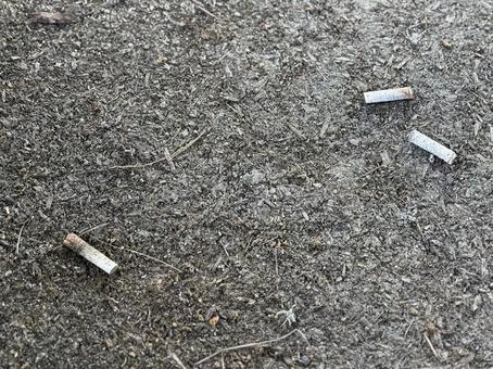 ポイ捨てされたタバコの吸い殻 ポイ捨てされたタバコの吸い殻 タバコ,吸い殻,ポイ捨ての写真素材