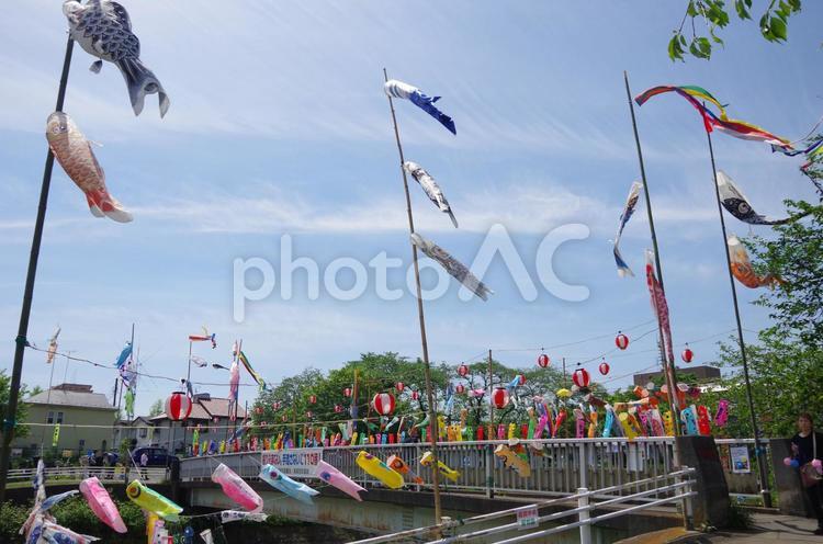 端午の節句のお祭り＜八王子・長房＞ 鯉のぼり,端午の節句,行事の写真素材