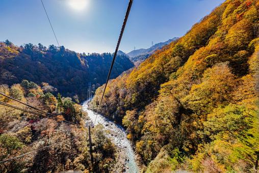 新潟県 苗場ドラゴンドラからの秋景色 新潟県 苗場ドラゴンドラからの秋景色 紅葉,秋,苗場ドラゴンドラの写真素材