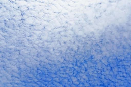秋の空 たくさん浮かぶ白い雲 秋の空 たくさん浮かぶ白い雲の写真