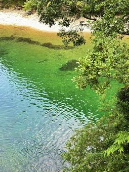 高田地区 高田川 清流 高田地区 高田川 清流の写真