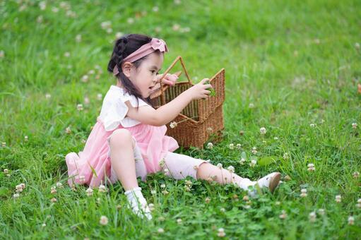 芝生に座りバスケットを開ける女の子 女の子,座る,シロツメクサの写真素材