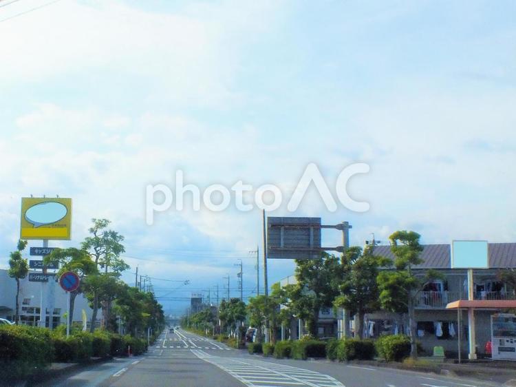 緑の並木　街路樹が長く続く街道 街路樹,長い,続くの写真素材