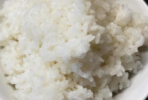 ライス ご飯,お米,美味しいの写真素材