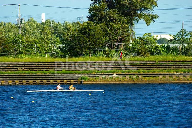 朝の風景 朝,水辺,緑の写真素材