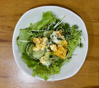 かぼちゃサラダ かぼちゃサラダ 野菜,かいわれ大根,レタスの写真素材