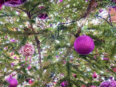 光り輝くオーナメント クリスマス飾り,光,オーナメントの写真素材