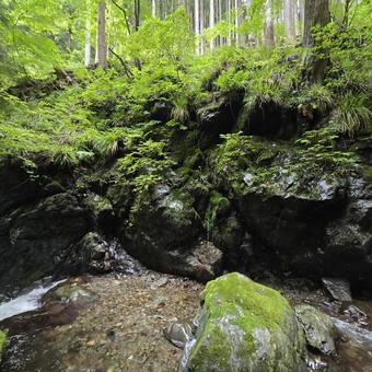 岩 岩の写真