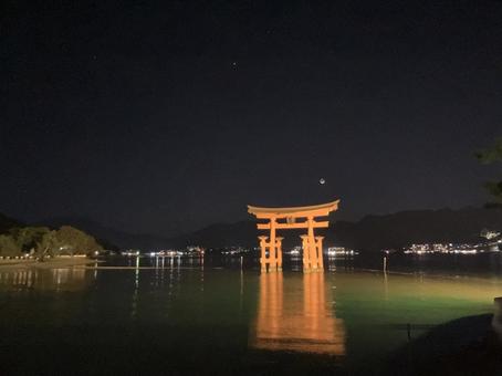 夜の厳島神社の大鳥居 夜の厳島神社の大鳥居 厳島神社,広島,鳥居の写真素材