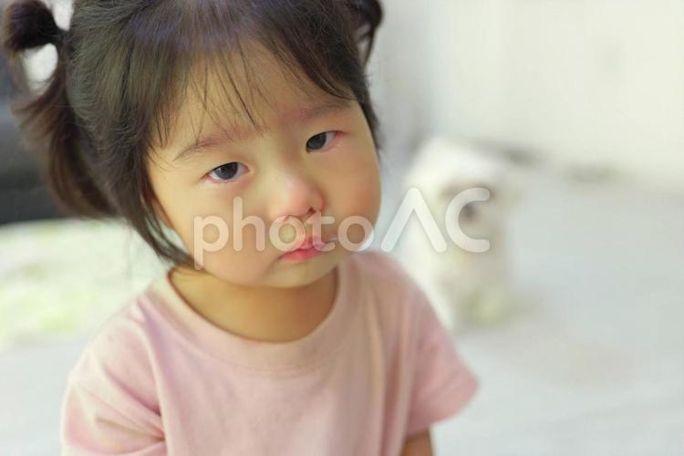 赤ちゃんと小型犬 赤ちゃん,幼児,園児の写真素材