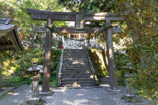 奈良　玉置神社　本殿と鳥居 玉置神社,本社,社殿の写真素材