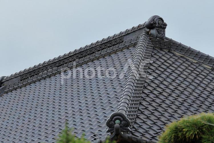 和瓦の寄棟屋根 瓦屋根,和瓦,屋根の写真素材