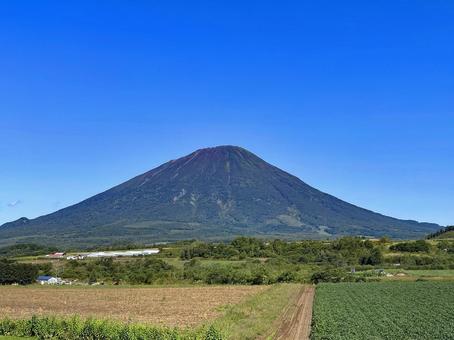 羊蹄山(蝦夷富士) 羊蹄山(蝦夷富士) 羊蹄山,山,自然の写真素材