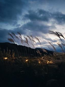 秋の曽爾高原 曽爾高原,ススキ,ライトアップの写真素材