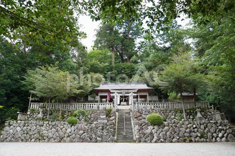 波瀬神社　正面 波瀬神社,神社,石垣の写真素材