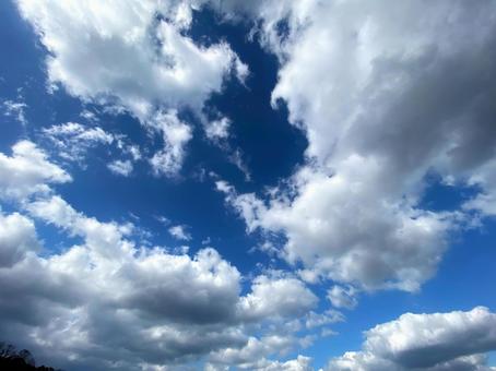 空と雲 空と雲の写真