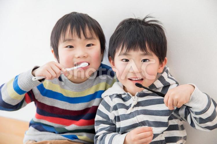 歯磨きする兄弟 歯磨き,笑顔,子供の写真素材