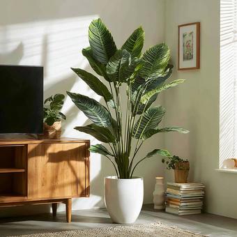 モダンな空間のシンボルツリーの写真