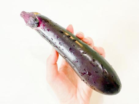 なす なす なす,手に持つ,野菜の写真素材