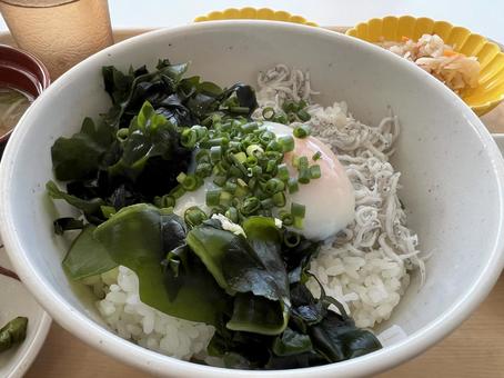 わかめを載せた釜揚げしらす丼 わかめを載せた釜揚げしらす丼 わかめ,しらす,しらす丼の写真素材