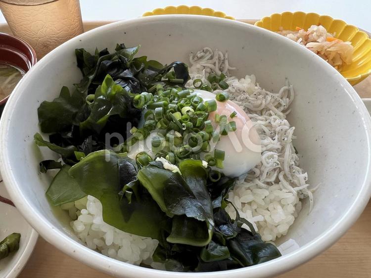 わかめを載せた釜揚げしらす丼 わかめ,しらす,しらす丼の写真素材