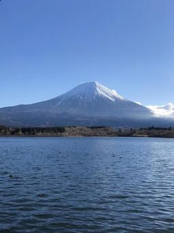 Photo, fuji mountain, lake, a waterside, 