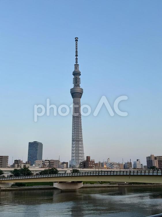 夕方の隅田川　隅田公園の遊歩道から 川,運河,隅田川の写真素材