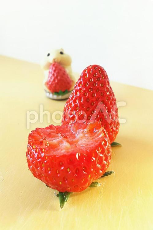 誰かの食べかけいちご いちご,果物,赤の写真素材