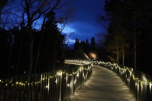 夜道 リゾナーレ那須,星野リゾート,那須の写真素材
