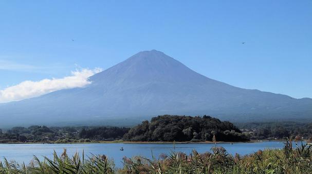 初秋の河口湖大石公園から望む富士山 富士山,初秋,9月の写真素材