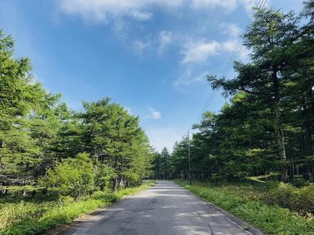 夏の空と道路 自然,風景,山の写真素材