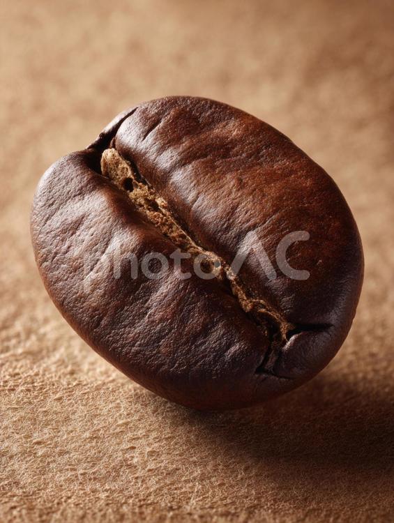 一粒のコーヒー豆 コーヒー豆,豆,珈琲の写真素材