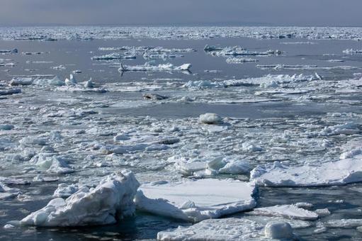 流氷が漂うオホーツク海 流氷が漂うオホーツク海の写真
