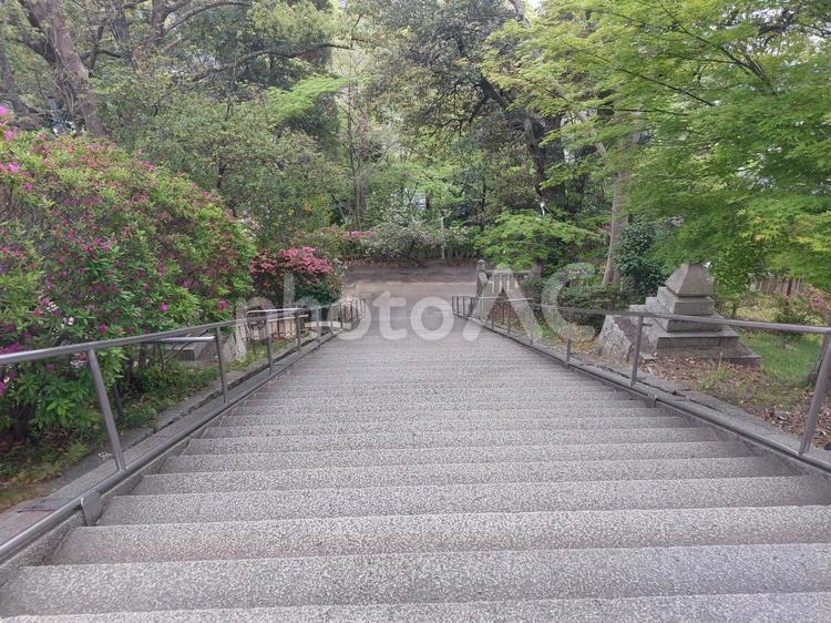 神社の石段（イメージ） 神社,石段,手すりの写真素材