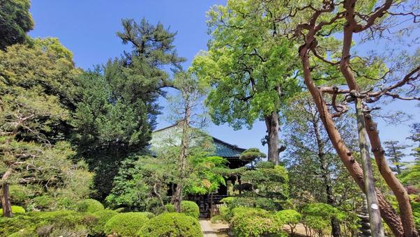 坂東33観音 11番 安楽寺 境内の風景 坂東33観音 11番 安楽寺 境内の風景 安楽寺,岩殿山,本堂の写真素材
