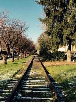 線路 線路,railway,色づくの写真素材