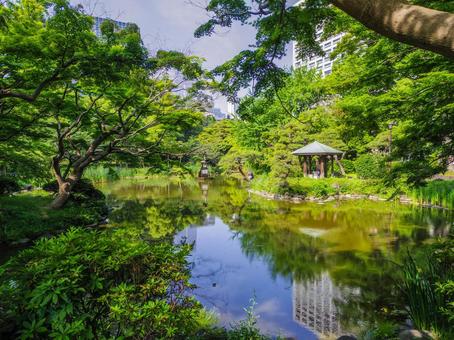 【東京都】日比谷公園・心字池 【東京都】日比谷公園・心字池 日比谷公園,日比谷,心字池の写真素材