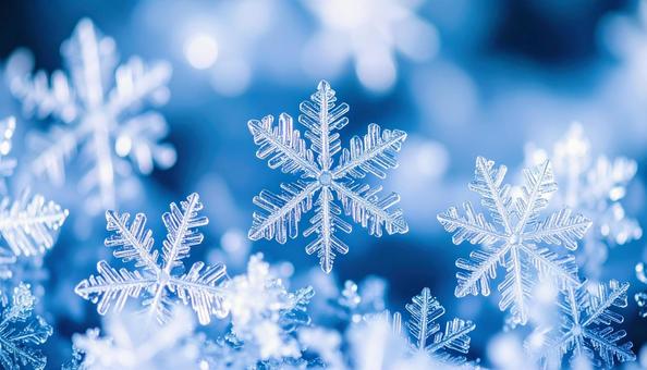 雪の結晶 雪の結晶の写真
